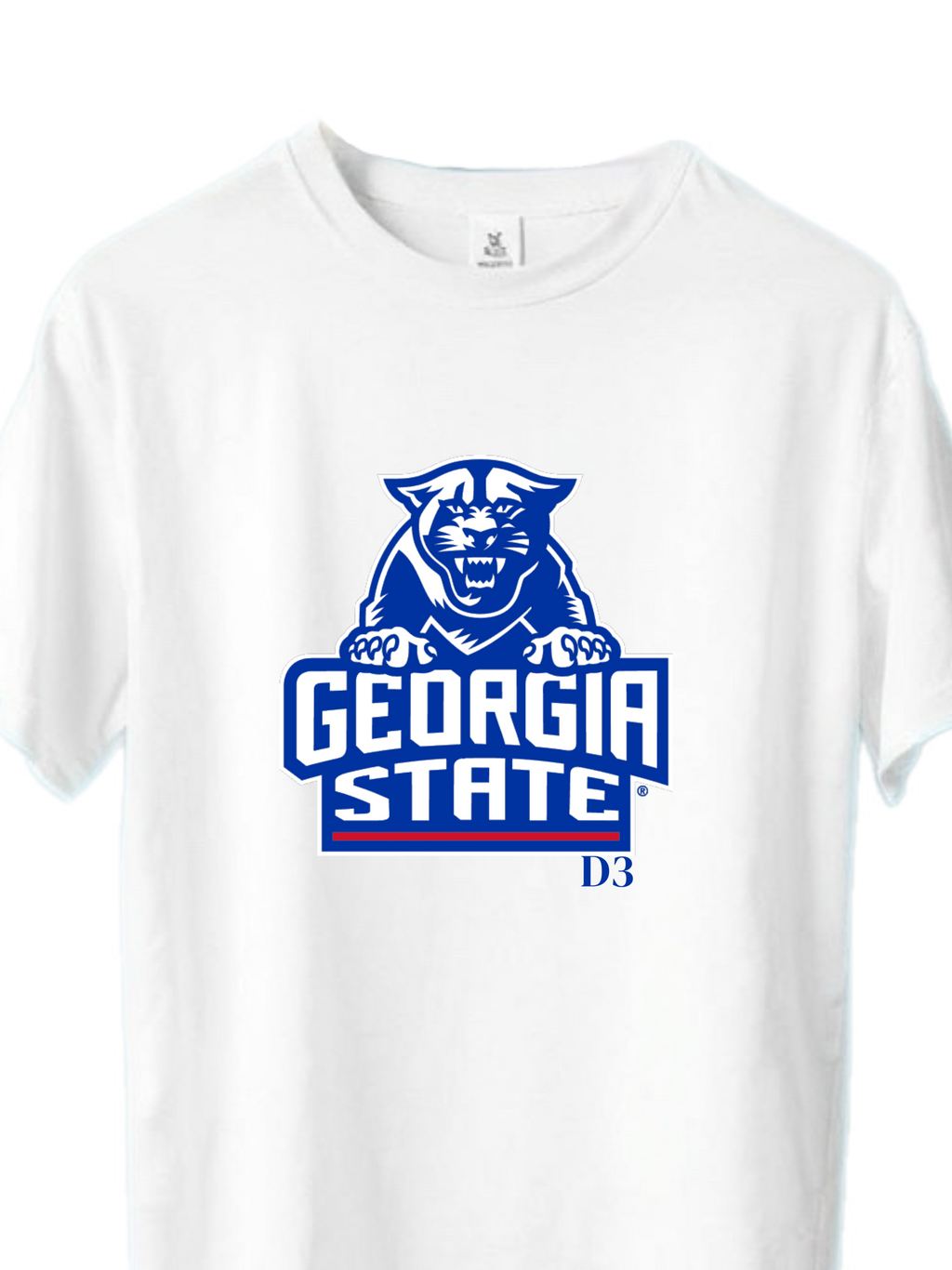 Georgia State University