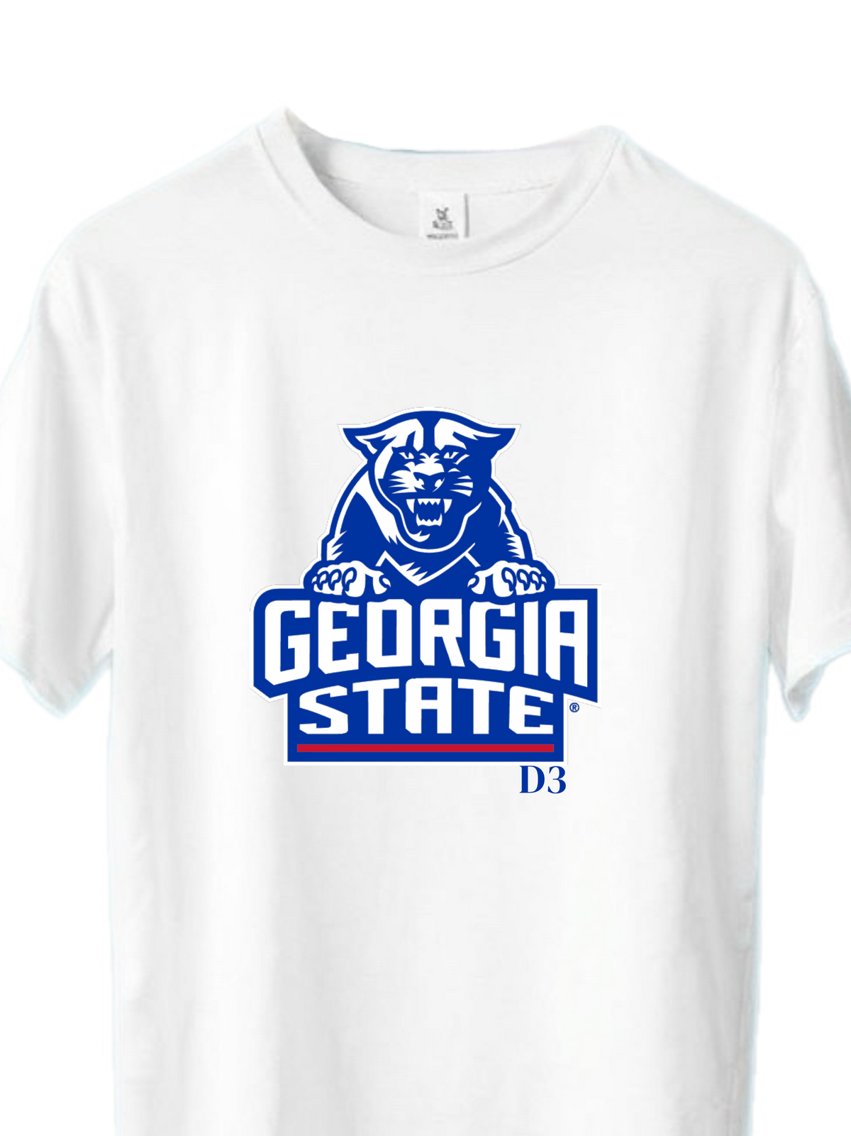 Georgia State University