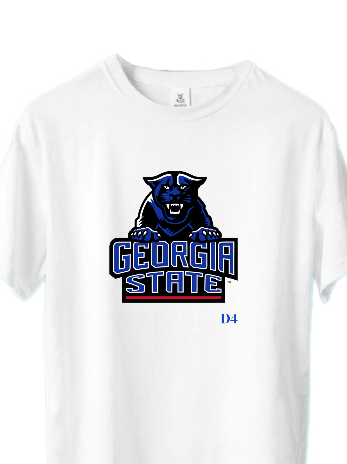Georgia State University