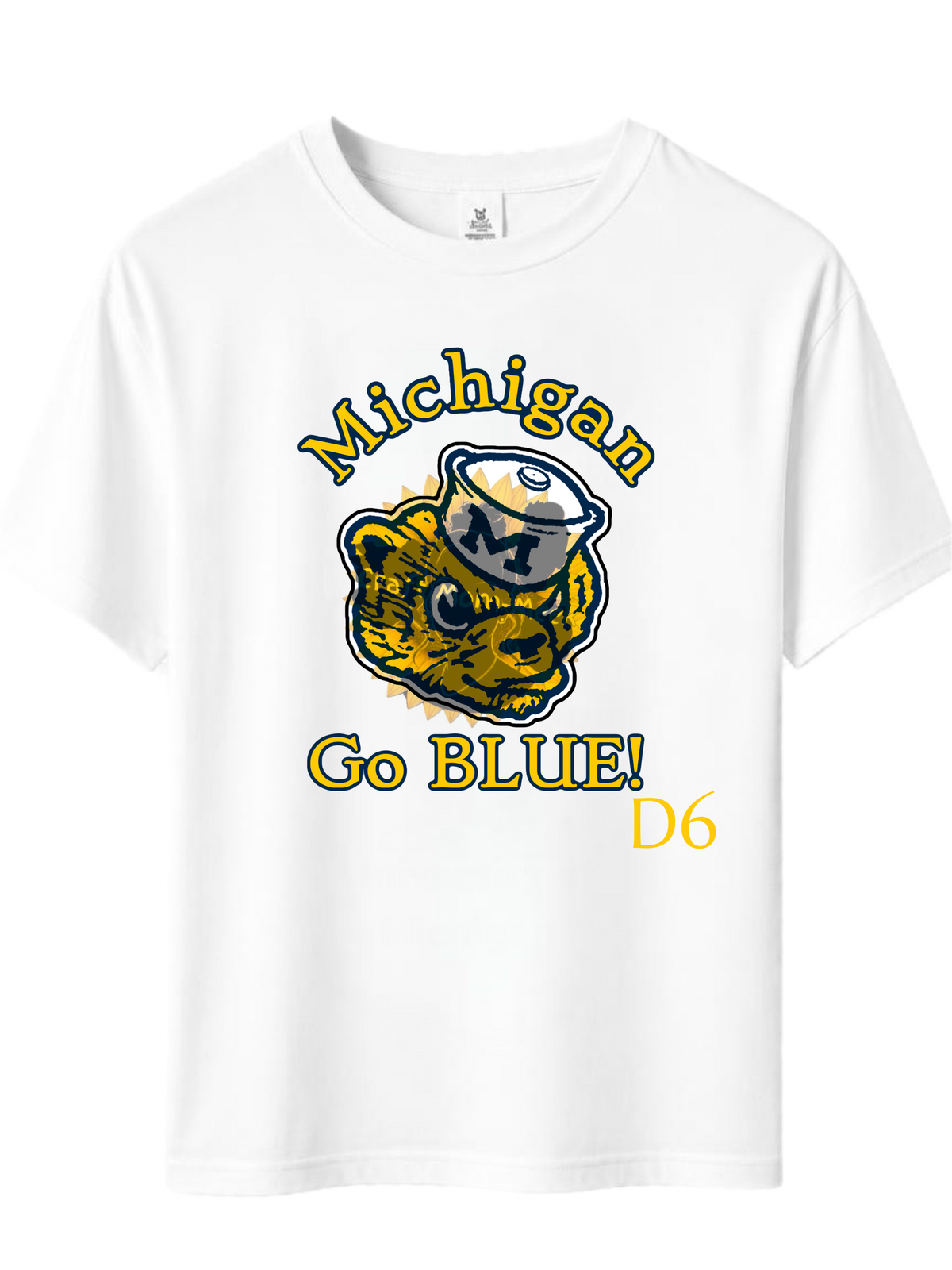University of Michigan