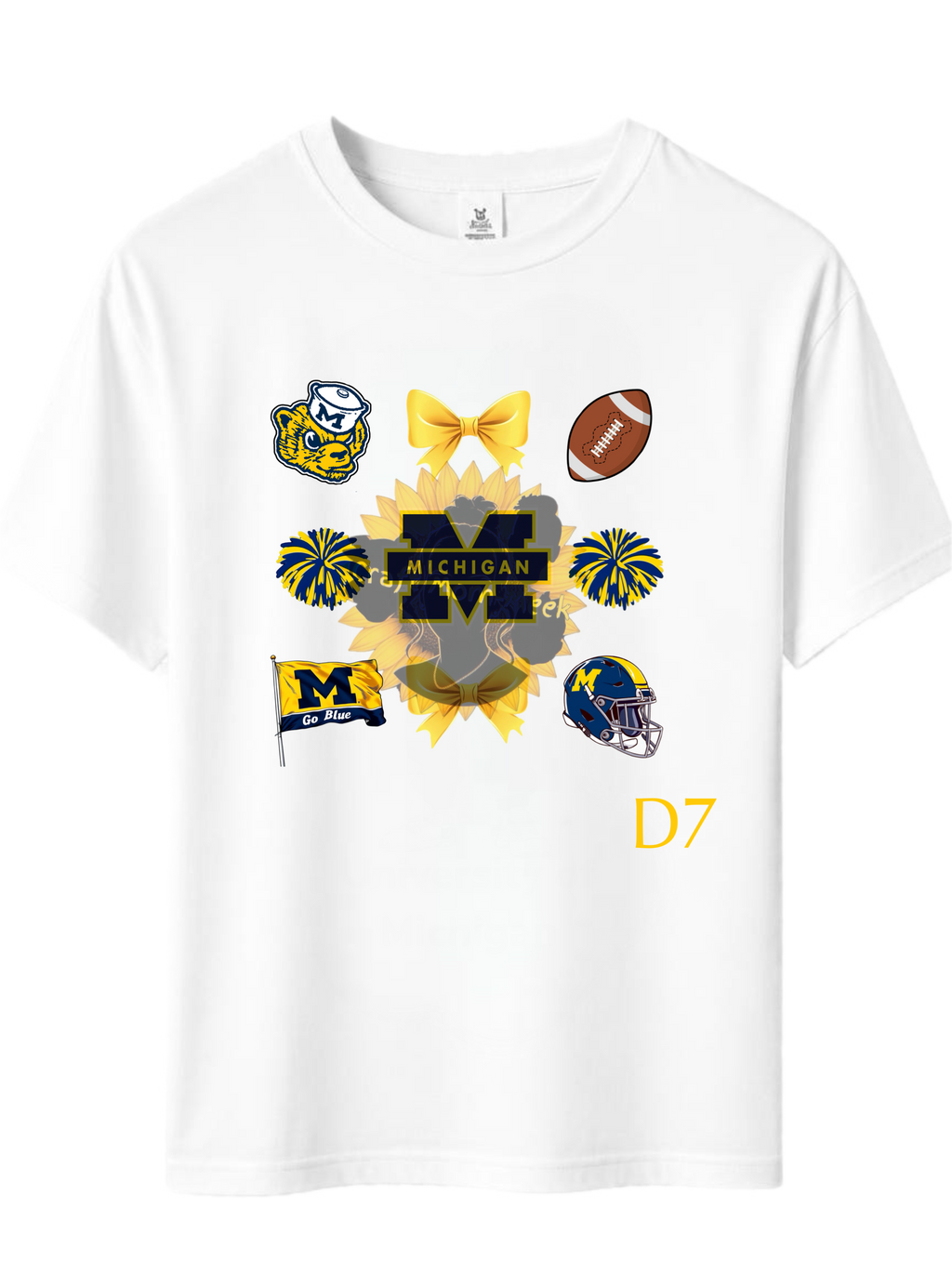 University of Michigan