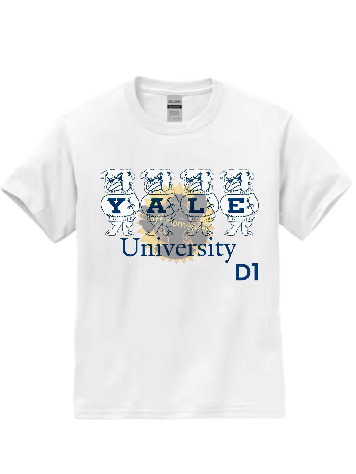 Yale University