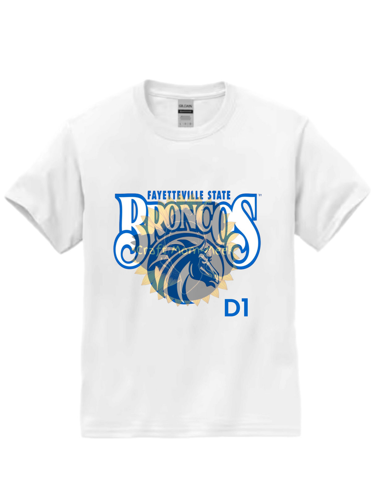 Fayetteville State University