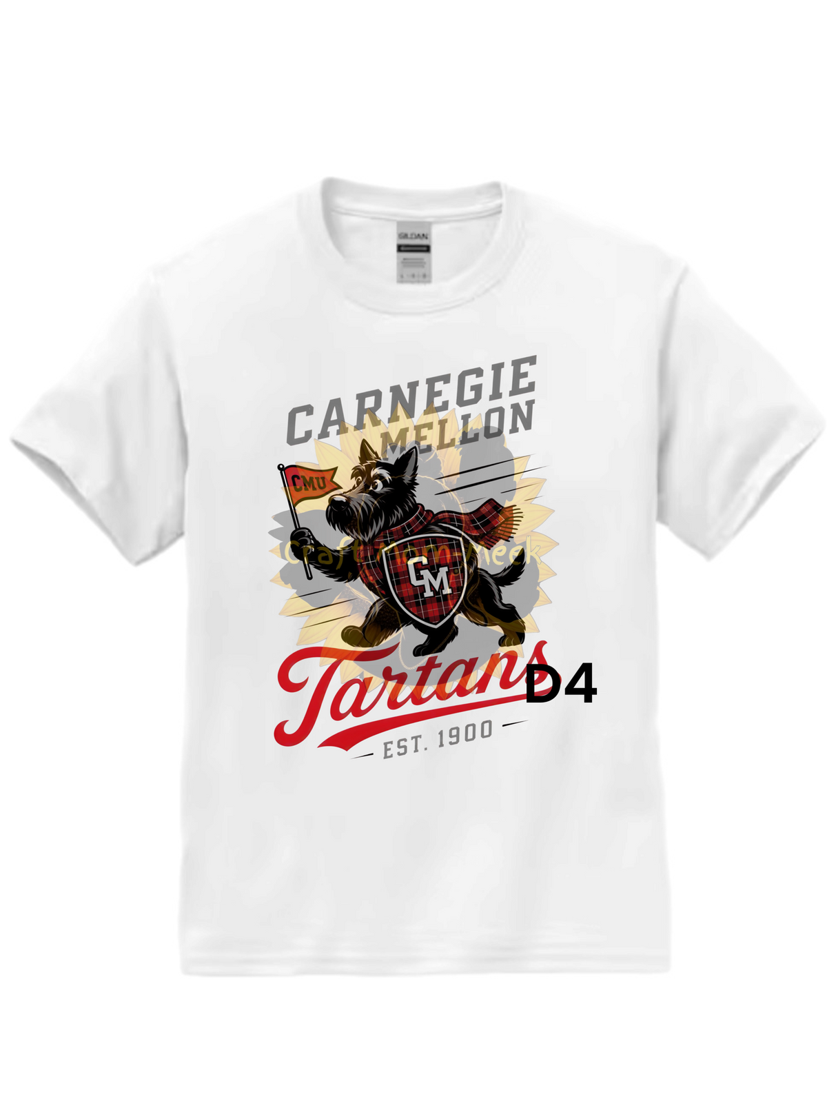 Carnegie Mellon