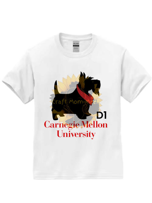 Carnegie Mellon